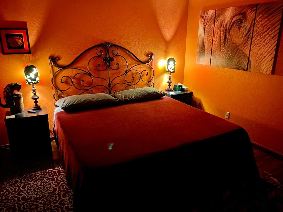 My Big Art Project Bed & Breakfast Santa Rosa Exterior foto
