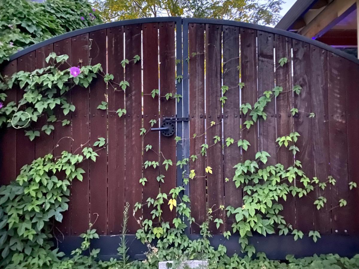 My Big Art Project Bed & Breakfast Santa Rosa Exterior foto